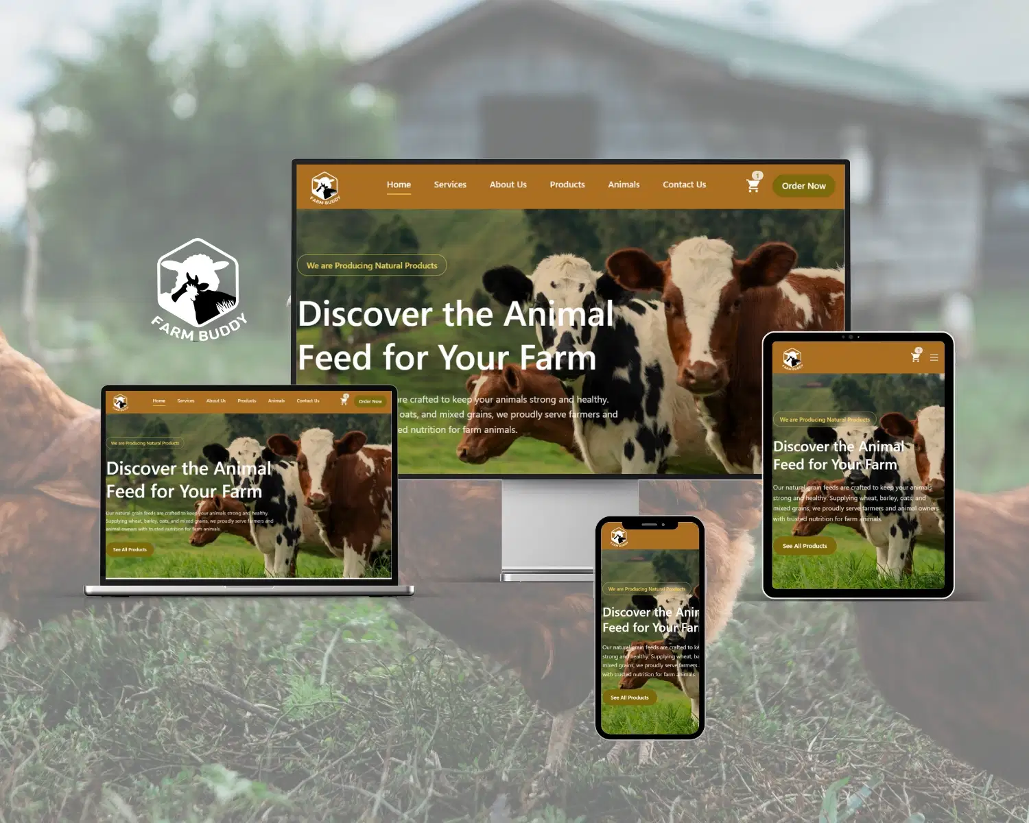 /images/portfolio/web-solution/farm-buddy.webp image