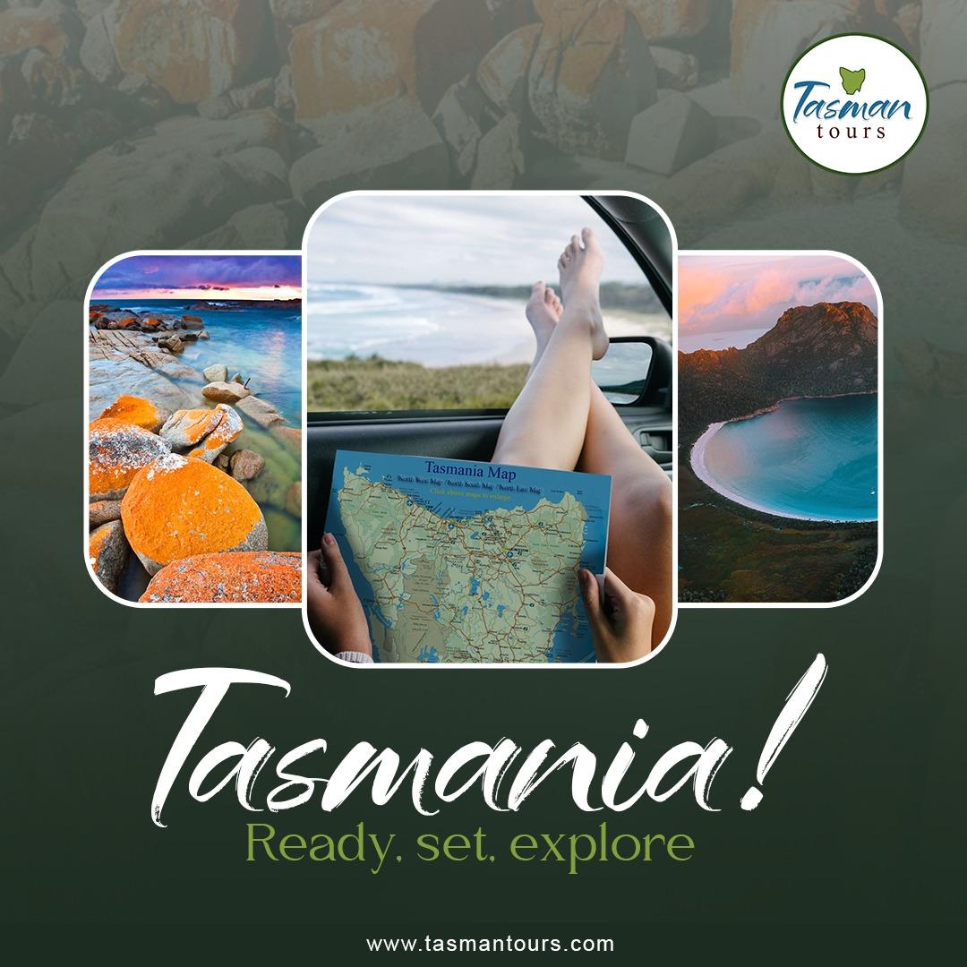 Tasman Tours