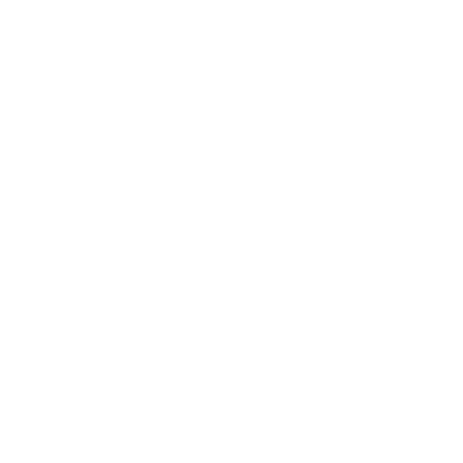 Web & Mobile Solutions